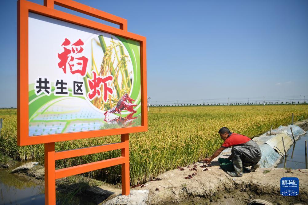 帝一娱乐平台登录网址